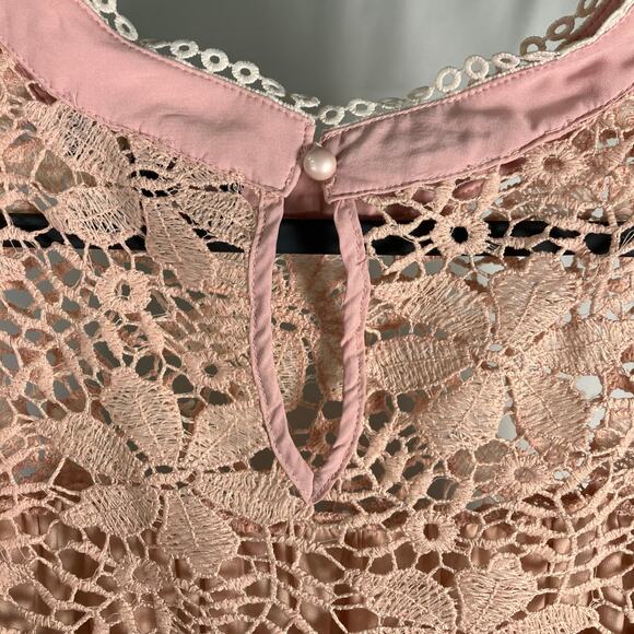 Suzanne Betro Blush Lace Embroidered Mesh Peasant Top 4X Floral Sheer Boho - Picture 5 of 12